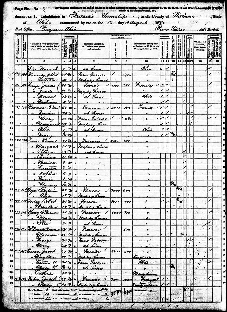 1870 U.S. Census for Pulaski Township, Williams County, Ohio, Showing the James Louys and Peter Besancon Families